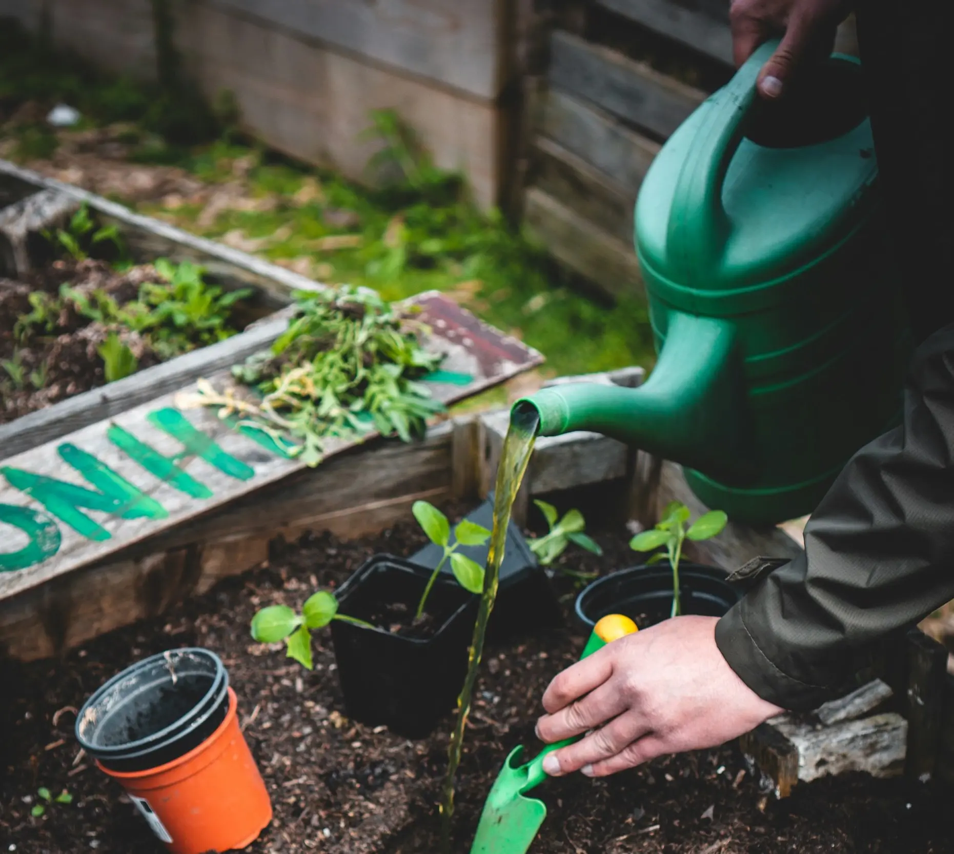 Gardening Clubs In Liverpool and the city region - Watering Can