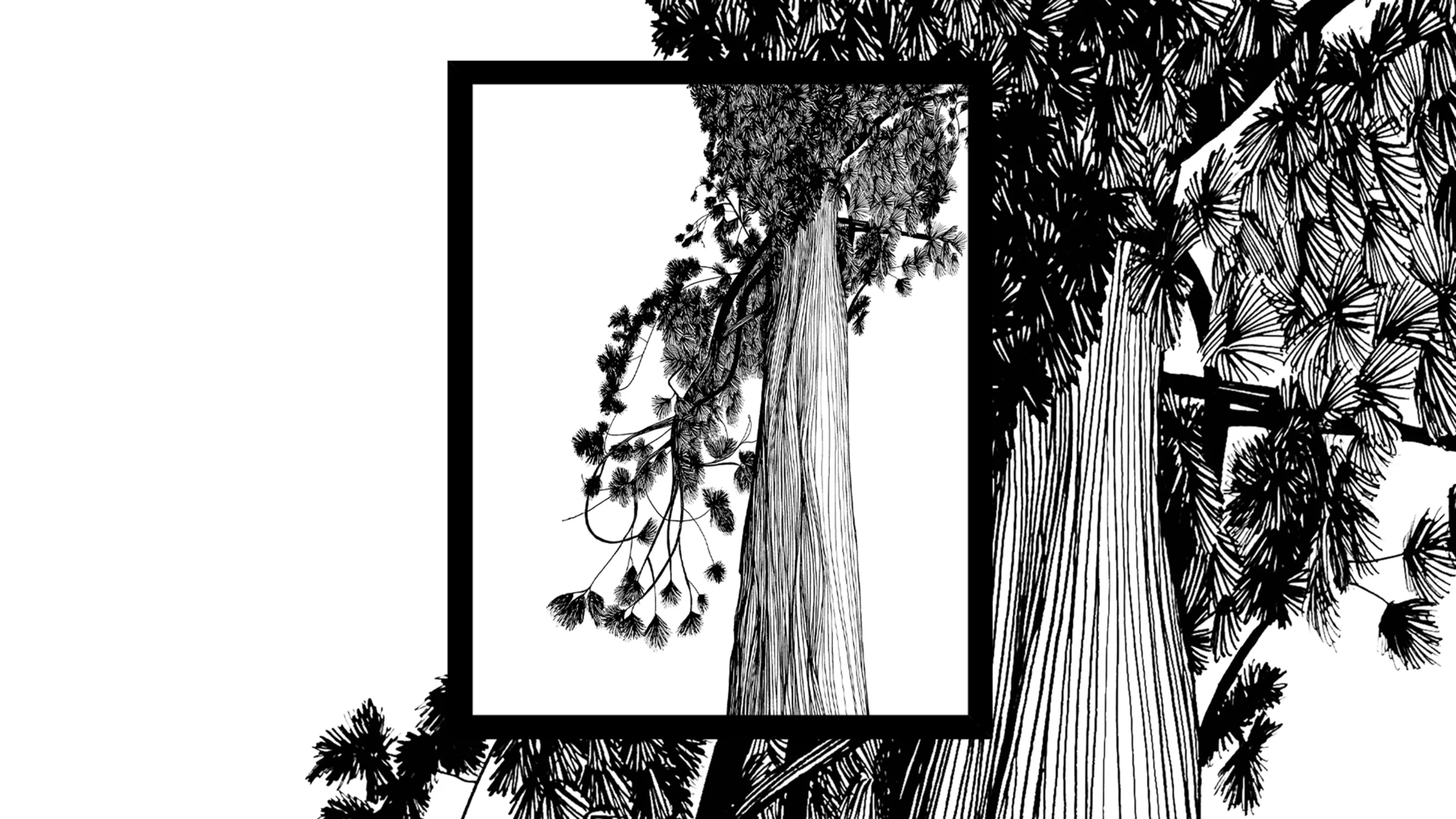 Black and white illustration of a tree by Let Me Doodle That For You