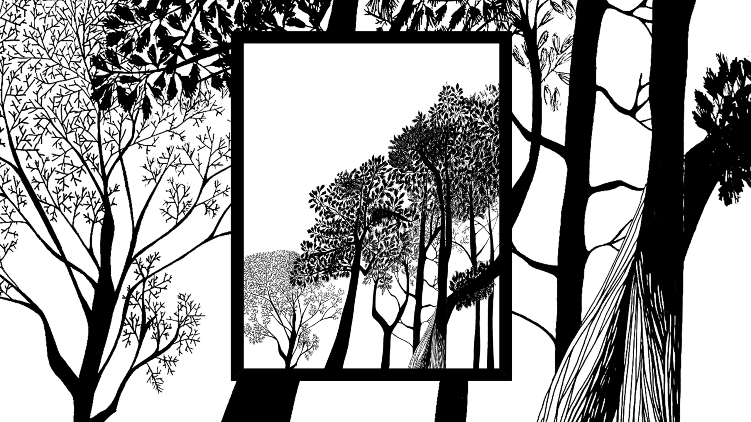 Black and white illustration of trees by Let Me Doodle That For You