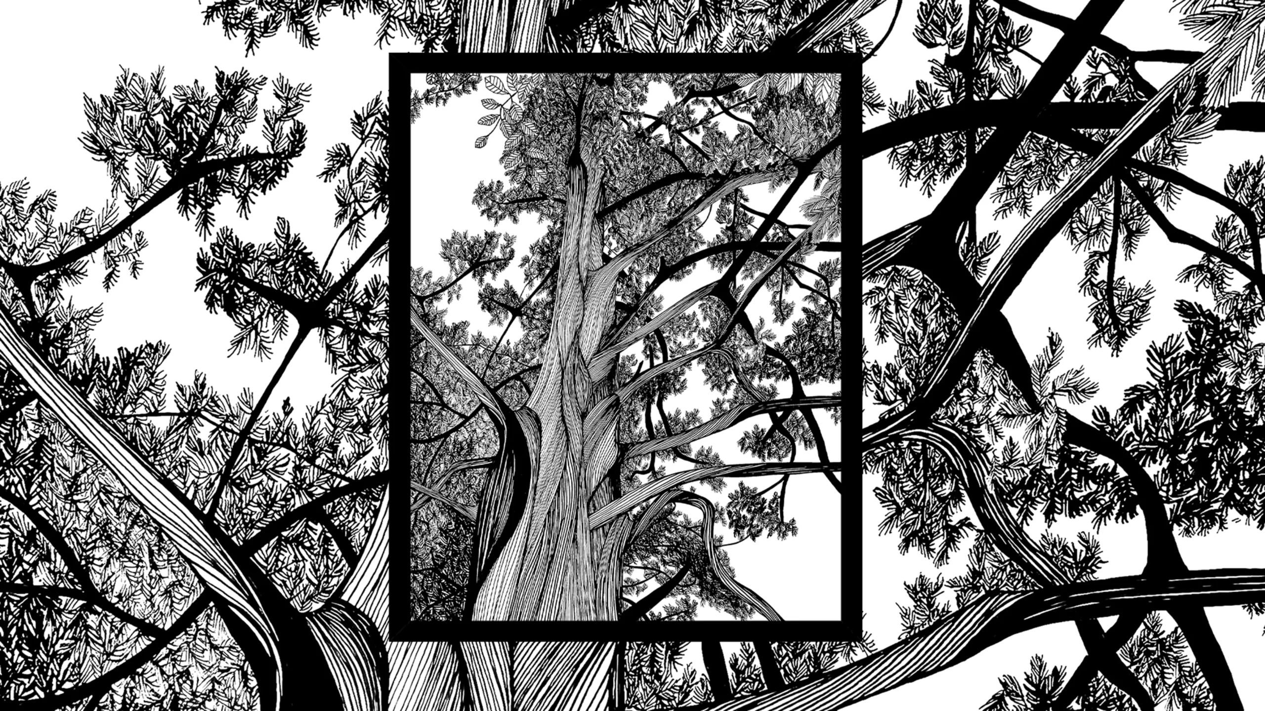 Black and white illustration of a tree by Let Me Doodle That For You 