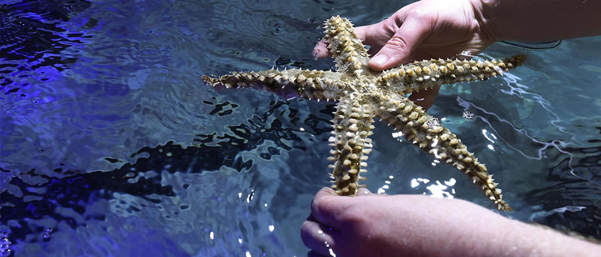 Aquarium Story Workshop World Museum 2025