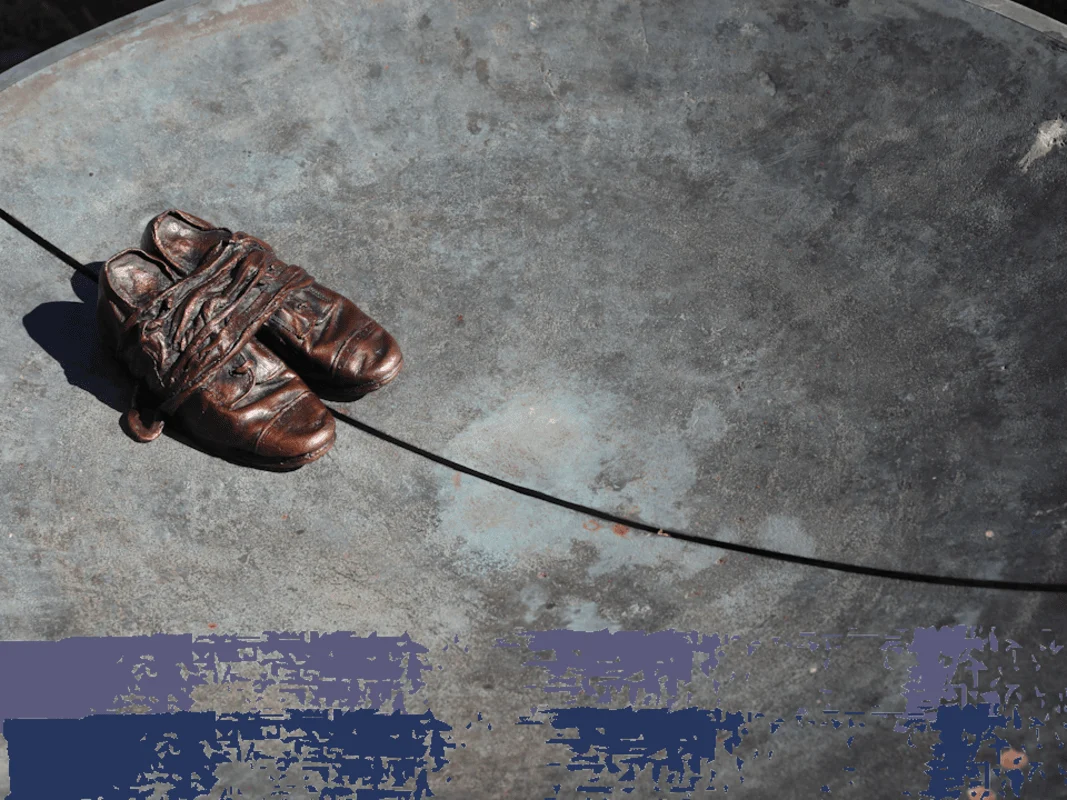 Reveal Book and Documentary Launch Liverpool Irish Festival 2025