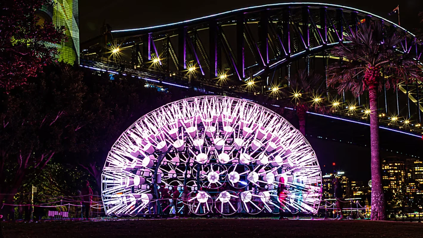 Dandelion by Amigo Amigo 2025