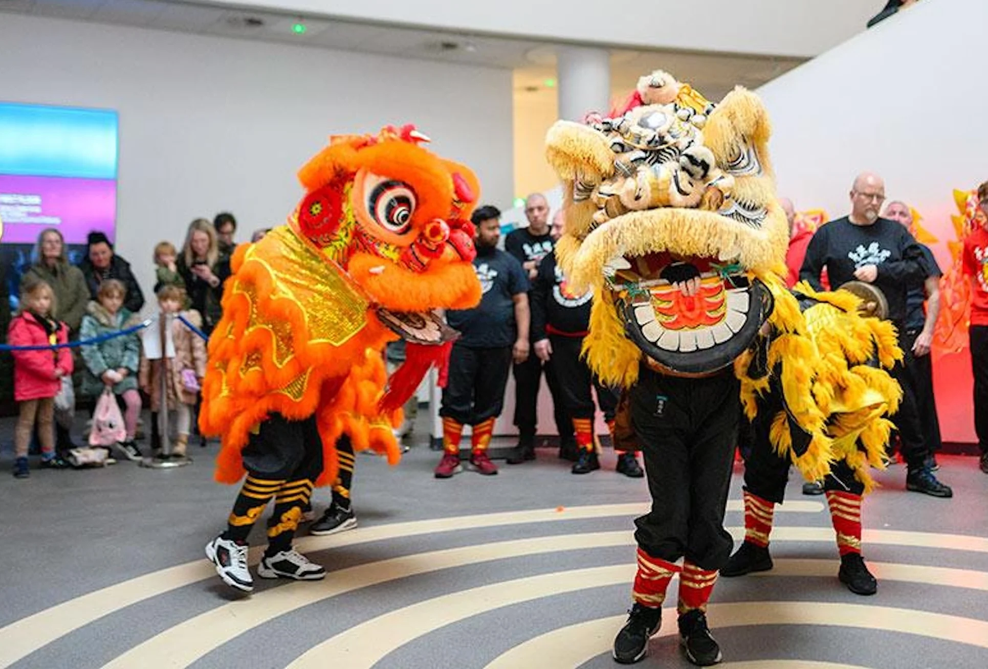 Lunar New Year Lion Dance Credit Pete Carr