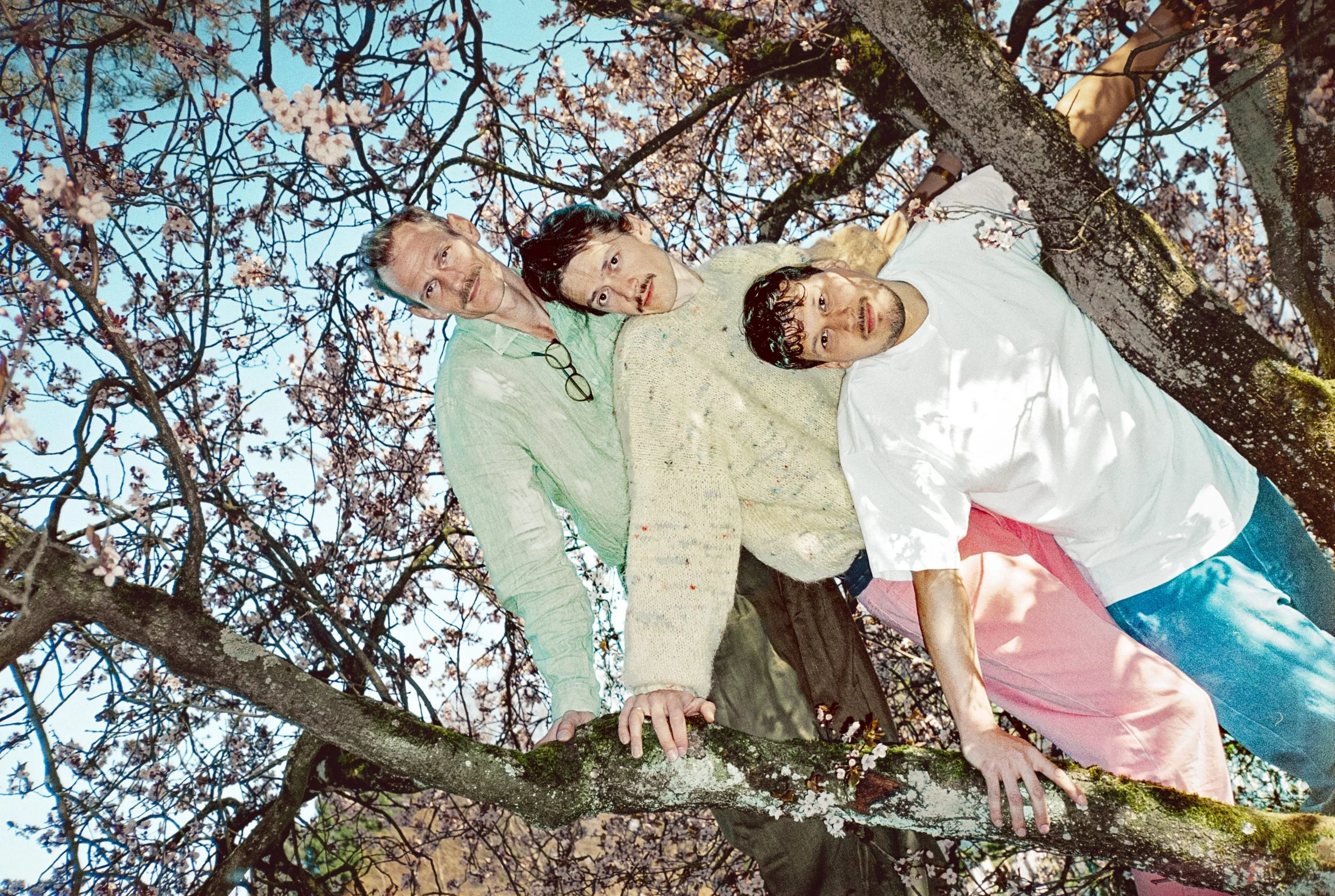 Löwenzahnhonig at Future Yard